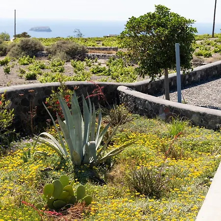 Soil Of Sun Luxury & Resort Megalochori (Santorini)