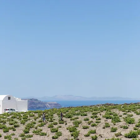 Soil Of Sun Luxury Resort