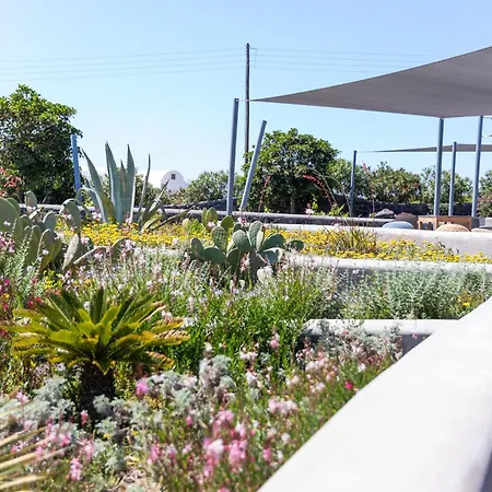 Soil Of Sun Luxury & Resort 3*
