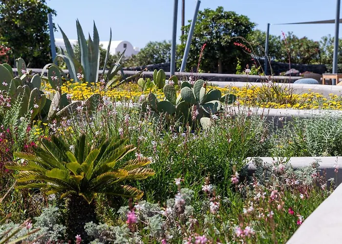 度假村 Soil Of Sun Luxury 3*