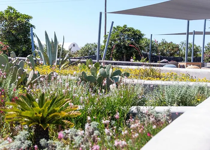 Soil Of Sun Luxury Resort 3*