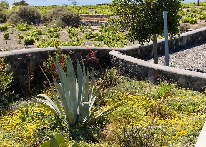 Soil Of Sun Luxury 度假村 梅加洛克里