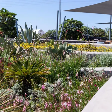 Station touristique Soil Of Sun Luxury 3*